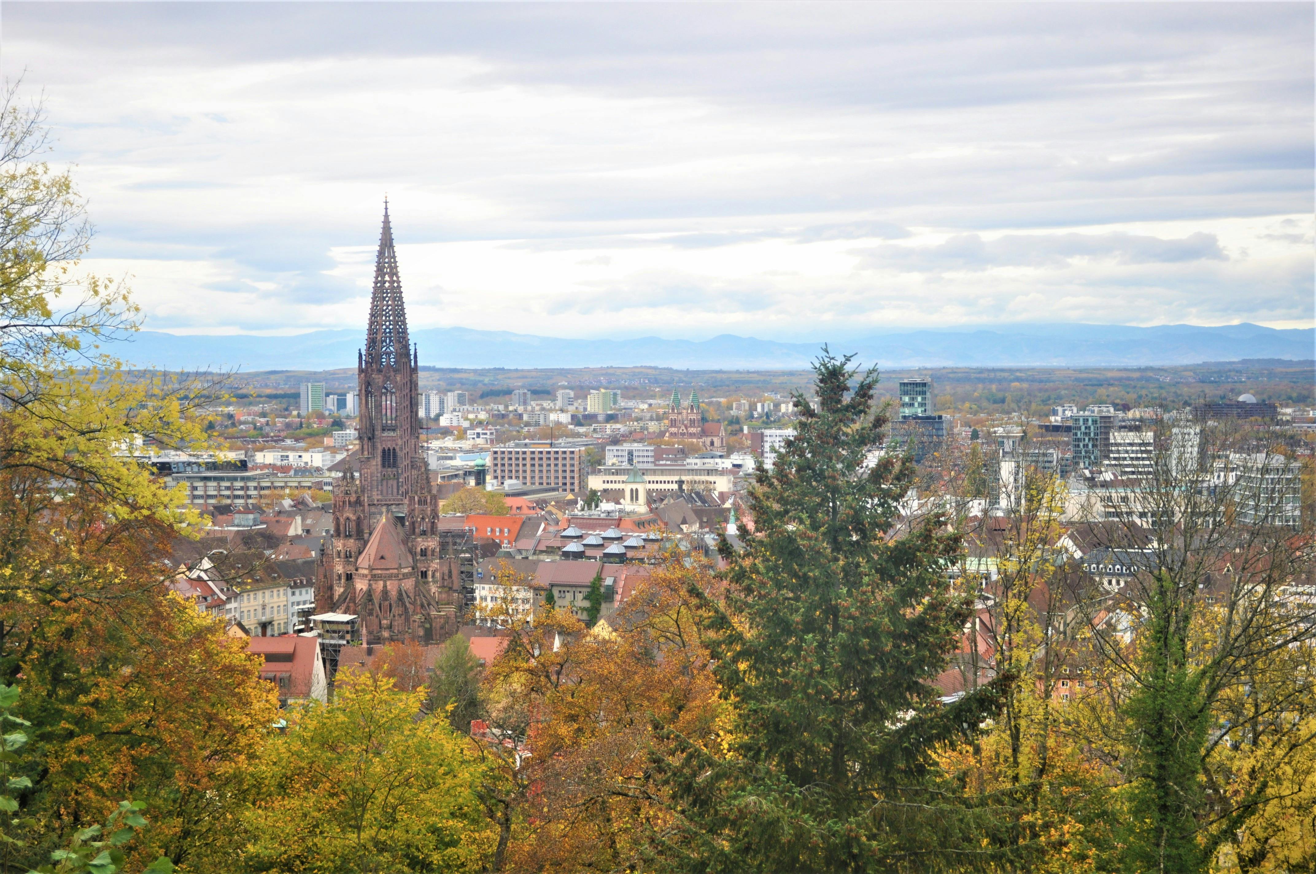 Frühmesse, Freiburger Münster