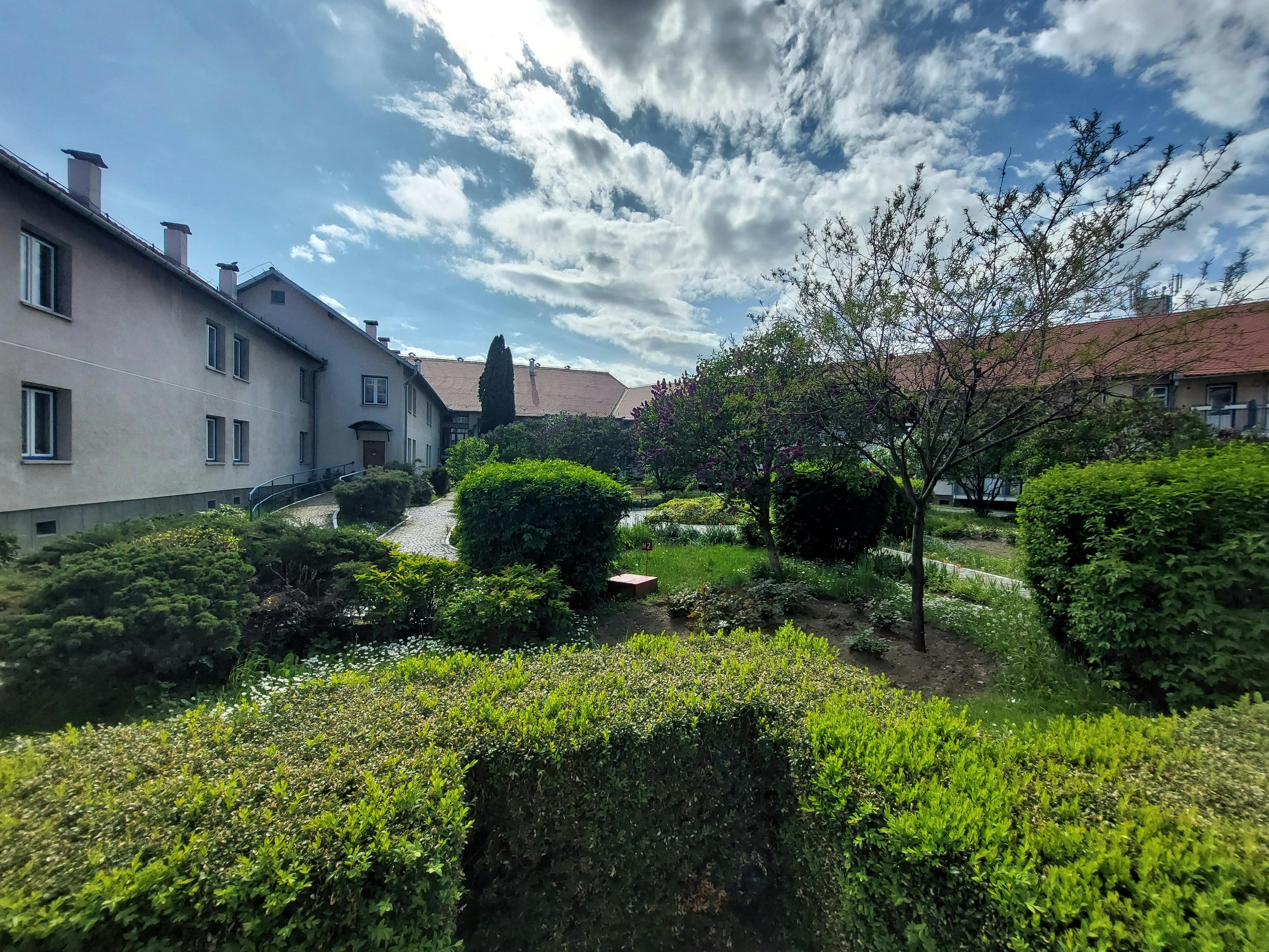 Weihnachtsgottesdienst  aus Siebenbürgen, Altenheim "Dr. Carl Wolff" Hermannstadt