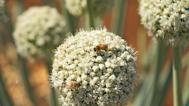 Sendung vom 07.08.25